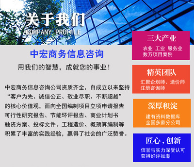 汕頭地區(qū)專(zhuān)業(yè)商業(yè)計(jì)劃書(shū)代寫(xiě)與商務(wù)信息咨詢(xún) 為您的圖文展項(xiàng)目保駕護(hù)航